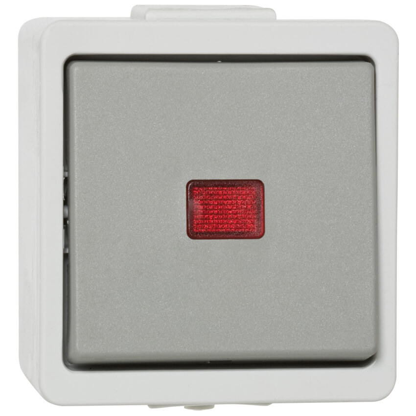 Kontroll/Wechsel-Schalter mit Glimmlampe, AP/FR 9365, grau