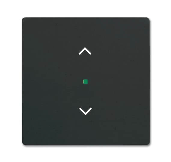 BUSCH-JAEGER - Wippe, 1-fach, mit Symbol Jalousie, schwarz matt - 6232-10-885